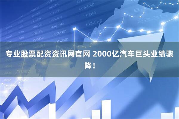 专业股票配资资讯网官网 2000亿汽车巨头业绩骤降！