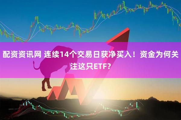 配资资讯网 连续14个交易日获净买入！资金为何关注这只ETF？