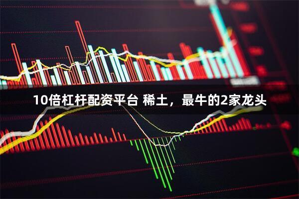 10倍杠杆配资平台 稀土，最牛的2家龙头
