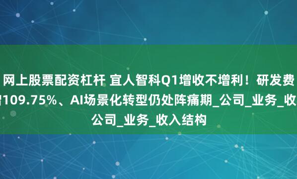 网上股票配资杠杆 宜人智科Q1增收不增利！研发费用激增109.75%、AI场景化转型仍处阵痛期_公司_业务_收入结构